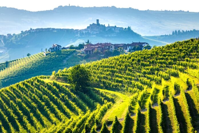Tuscany and Wine